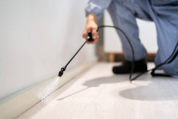 Licensed Pest Control service in Harrison County County, WV - Nex Pest Control