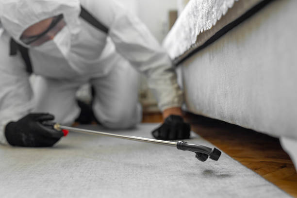 Professional Pest Control technician working in Harrison County County, WV